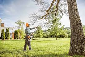 Best Root Management and Removal  in Landisville, PA
